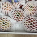 충주호당의원 이미지