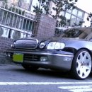 다이너스티 이미지