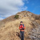 오서산(충남보령)백대명산 2023.1.19. (성연주차장~성골~시루봉~무선중계기~오서산정상(인증)~전망대~정암사~상담주차장 이미지