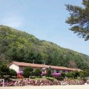 대화초 개수분교장 이미지