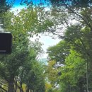 한아름산후조리원 | 강남 한아름 산후조리원 개포점 산전마사지 후기