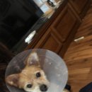 언양동물병원 이미지