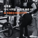 리부트핏 이미지