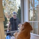 샬롬어린이집 이미지