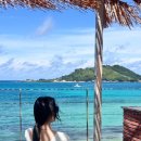 비양도 민박 | 협재에서 15분!⛴ 비양도 여행 배시간·요금·소요시간