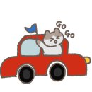 트레블 플스방 이미지