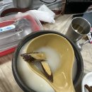 장원식당 | 순천 선암사 맛집추천, 전라도 손맛 느낀 장원식당 선채정식 후기