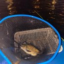 삽다리농원 이미지