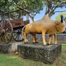 말레이시아 말라카 교통 역사 공원(Melaka Historical Vehicle Park) 이미지