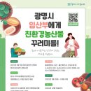 광명농산물 미디어투데이