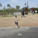 미사아일랜드멍카페 네이버블로그