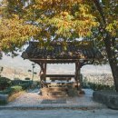 노고마주 이미지