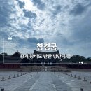 왕궁중학교 | 산책하기 좋은 낮시간 창경궁 대온실 후원 후기 및 입장료 주차 정보