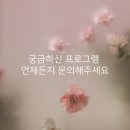 리라 에스테틱