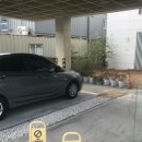 양덕동131 이미지