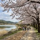 아카이빙) 우리마을 한바퀴 - 마을사진 기록 | 당진 합덕제