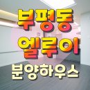 부평동과일야채