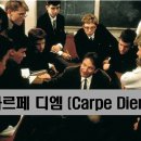 카르페디엠 이미지