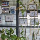 신우성흑돼지 이미지