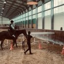 프리미어아레나승마클럽 이미지