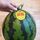 금호농산 이미지