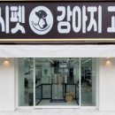 대구펫 강아지분양 고양이분양 이미지