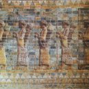 코미타투스 이미지