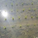 덕촌농장 이미지