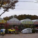 에덴꽃화원 이미지