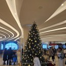 오션스퀘어 | 쏠비치 삼척 슈페리어 스퀘어 오션뷰 패밀리 트윈룸 솔직한 후기, 반드시 알아야 하는 체크인 꿀팁