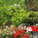 송현공원 이미지