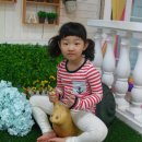 부자 농장 이미지