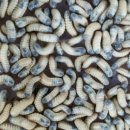 굼뜰농장 이미지