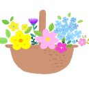 재미드니연구소