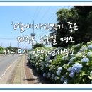 안덕면행정복지센터 이미지