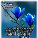 샬롬