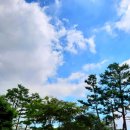 다사랑대야점 | SAWLIFE #2022 고3의 삼삼한 나날(2)