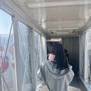 제일의료기상사 | 스위스항공 스위스 직항 인천 취리히 이코노미 레그 플렉스 이용 후기 자리추천