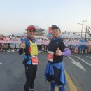2023년 서울 국제마라톤겸 동아 마라톤 대회 이미지