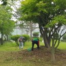 전의면사무소 이미지