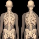 지투피트니스 이미지