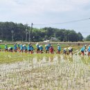 서호축산 이미지