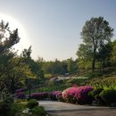 수복천 입구 이미지