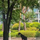 LG5차B단지 이미지