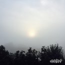 병순 농장 이미지
