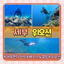세부 위오션 빠지 스노클링과 펀다이빙으로 완벽했던 하루 일정