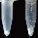 H1006 이미지