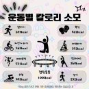 점핑하이풍암 네이버블로그