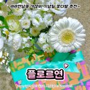 마포-현장-마포-1476 | 홍대입구역 꽃집 추천 '플로르연' 연남동 가성비 꽃다발 내돈내산 추천