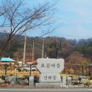 계룡대떡집 | 시내버스타고 대청호 다녀온 후기 : 추천👍